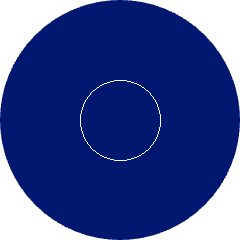 A screenshot of the robot’s screen white a white circle drawn in the center.