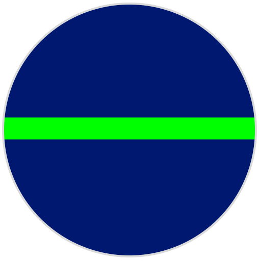 A screenshot of the robot's screen with a green bar across the center of the screen from left to right.